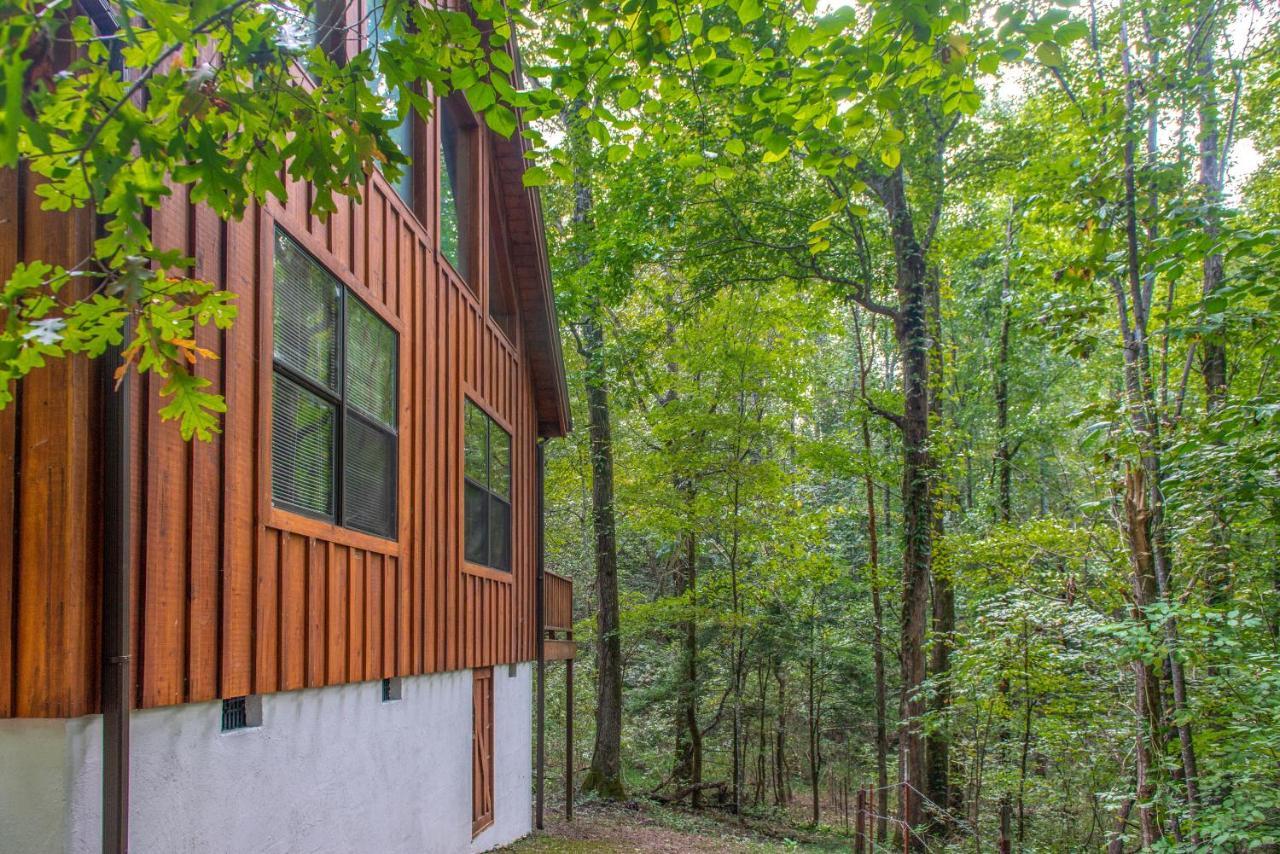 Friendly Bear Cabin พิเจนฟอร์จ ภายนอก รูปภาพ